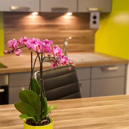 Le Hupsa Pfannala Holiday home Saint-Hippolyte (Haut-Rhin)